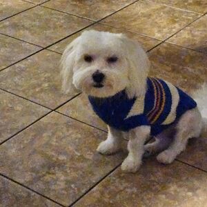 Meet your Posher, Kisha